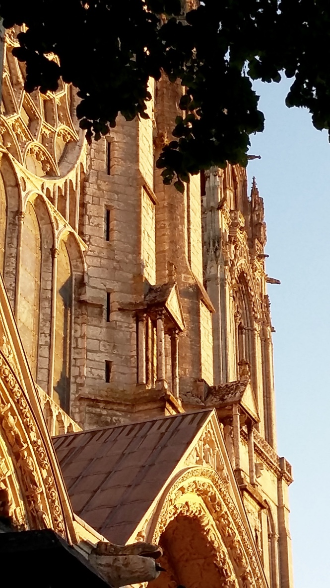 thumb_20160907_200243_1024