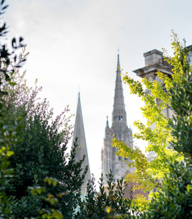 Vue Cathedrale de Chartres jardin-photographie-Sophie-Colas©
